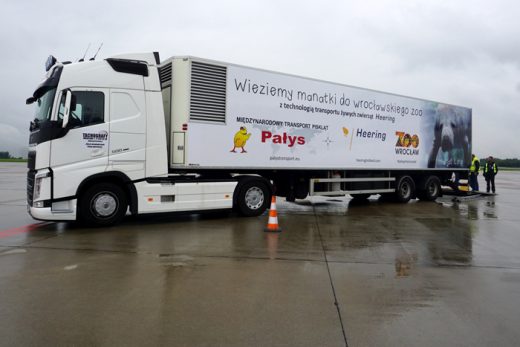 Volvo Trucks: zabrali manatki do Wrocławia